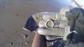 Beach Metal Detecting Equinox Finds Gold Ruby Diamond Ring [upl. by Barbe278]