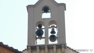 Campane di Firenze  Basilica di SS Annunziata [upl. by Suedaht]