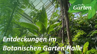 So schön ist der Botanische Garten Halle  MDR Garten [upl. by Elaval]