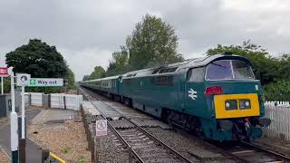 D1015 Western Champion on the Marston Vale Line [upl. by Anatole]