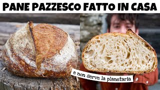 LA RICETTA DEL PANE FATTO IN CASA PIÙ BUONO E COMODO DA REALIZZARE – è facile e pieno di bolle  DZ [upl. by Enovi]