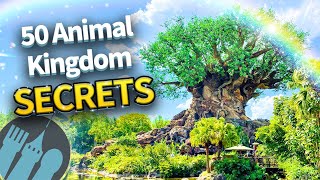 50 Secrets and Tips For Disney World’s Animal Kingdom [upl. by Immak]