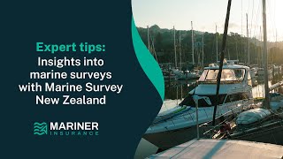 An expert insight into marine surveys with Marine Survey New Zealand [upl. by Aissej]