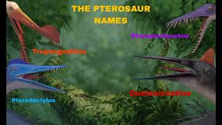 The Pterosaur Names My Post [upl. by Garik98]