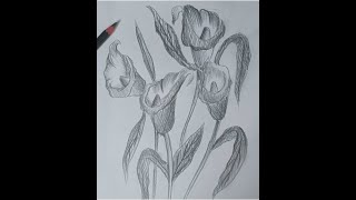 How to draw a bunch of flowers step by step for beginners [upl. by Oj]