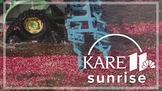 Fifthgeneration farmer carries on cranberry tradition in Wisconsin [upl. by Derfiniw]