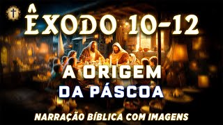 📖 Êxodo 1012  O Verdadeiro Significado da Páscoa📜  Narração Bíblica Com Imagens ✟ NVI ✟ [upl. by Fitton]