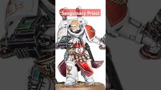 Sanguinary Priest 10th edition 40K warhammer40k [upl. by Nivri]