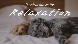 NO ADS 2 HOURS Classical Music for Relaxation  Beethoven Mozart Bach Tchaikovsky Vivaldi… [upl. by Otreblig]