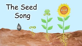 The Seed Song  What Do Seeds Need [upl. by Alexine439]