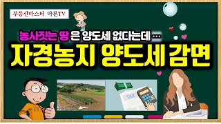 자경농지 양도세 감면  농사짓는 땅은 양도소득세 없다는데 [upl. by Imot]