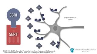 Mechanism of SSRIs Monoamine Theory and the Role of BDNF [upl. by Nannaihr]