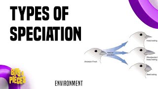 Types of speciation  Allopatric sympatric Parapatric Peripatric in Tamil II UPSC II TNPSC II [upl. by Lewert]