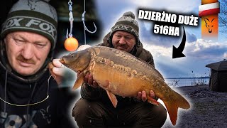 Karpiowanie na DZIERŻNIE DUŻYM w marcu  carp fishing [upl. by Lundeen262]