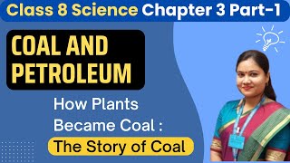 Class 8th Science Chapter 3 Coal and Petroleum  Story of Coal Class 8  Coalification [upl. by Ecikram570]