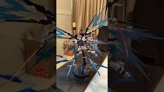 Mg Strike Freedom Full Burst Mode gundam gunpla seedfreedom seeddestiny gundamseed [upl. by Ayotel131]