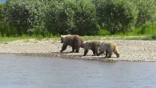 Float Trip Moraine Creek Alaska 2013 [upl. by Ellebanna775]