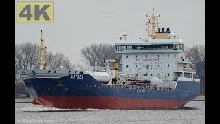 ASTREA  Shipspotting Germany 🇩🇪 IMO 9488839  River Weser near City Brake Unterweser  4K VIDEO [upl. by Audette]