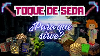 Para que sirve el encantamiento de TOQUE DE SEDA  Minecraft [upl. by Ailehc]