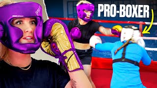 GK Barry fights a PROFESSIONAL Boxer  Great British Adventures 1 [upl. by Yleve]