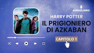 1 Harry Potter e IL PRIGIONIERO DI AZKABAN volume 3 Audiolibro  POSTA VIA GUFO [upl. by Farrel]