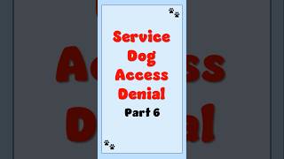 Service Dog Denied Public Access WHAT Went Wrong Part 6 [upl. by Nata]