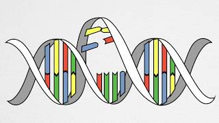 How UV Causes Cancer and Aging [upl. by Nwahsear]