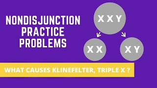 NONDISJUNCTION PRACTICE PROBLEMS KLINEFELTER SYNDROME TRIPLE X SYNDROME [upl. by Nirrep]