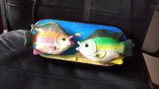 Loving Duetting Fish Singing Endless Love  Like Billy Bass [upl. by Valery]