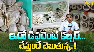 Pearl Farming Guide  ఇదో డిఫరెంట్ కల్చర్ చేస్తుందే చెబుతున్న Tone Agri [upl. by Sanson]