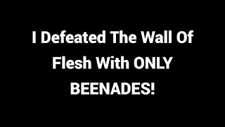 I Defeated The Wall Of Flesh With ONLY BEENADES [upl. by Allisurd]