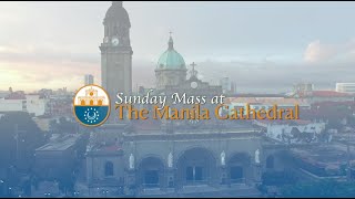 Sunday Mass at the Manila Cathedral  September 15 2024 1000am [upl. by Regni]