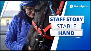 Spend a morning with stable hand Rachel at Carbine Lodge Australia [upl. by Gazzo285]