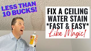 How to Fix a Ceiling Water Stain  Less Than 10 Bucks [upl. by Dare973]