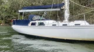 Nicholson 32 for sale in NSW Australia [upl. by Alburg]