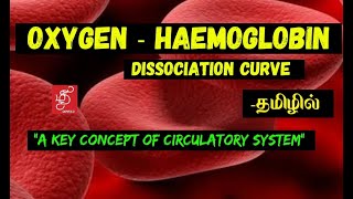 OXYGEN HAEMOGLOBIN DISSOCIATION CURVE  HAEMOGLOBIN SATURATION CURVE  IN TAMIL [upl. by Sida486]