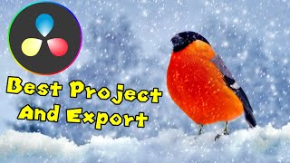 The BEST Davinci Resolve Project and Export Settings for 1080p OR 4k [upl. by Stefan]