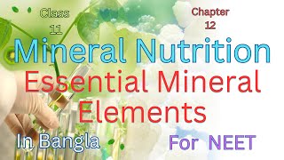 Mineral Nutrition  class 11Chapter 12  NCERT BIOLOGYHarunbiozone [upl. by Nirre929]