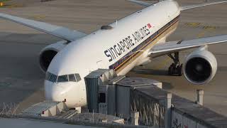 4K  Zurich Airport Early Morning Plane  Spotting [upl. by Hait]