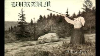 Burzum  Dunkelheit INSTRUMENTAL [upl. by Phaidra]