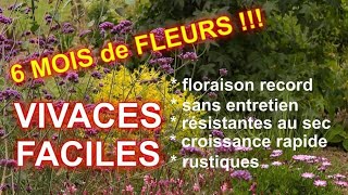 VIVACES FACILES à TRES LONGUE FLORAISON  5 super plantes [upl. by Peri]