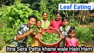 Leaf Eating Matha PattaOdisha ki khane wali patte [upl. by Etac]