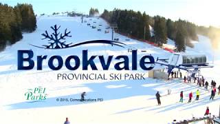 Brookvale Provincial Ski Park [upl. by Raimes38]