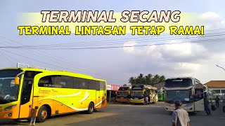 TERMINAL LINTASAN RUTE JOGJA YANG SELALU RAMAI ‼️ TERMINAL SECANG MAGELANG 🔥 [upl. by Salsbury]