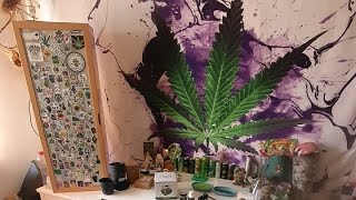 Das kleine Gewächshaus nochmal live aufbauen cannabis Stecklinge marshydro indoor cannapeace [upl. by Gerstner]