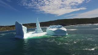 Iceberg Alley  Newfoundland Photo Tours [upl. by Koralle236]