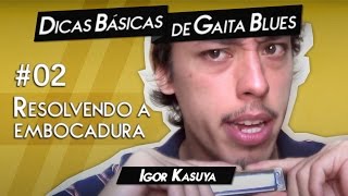 Dicas Básicas de Gaita Blues 02  Resolvendo a Embocadura  Igor Kasuya [upl. by Evvy]