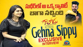 Gaalodu Movie Heroin Gehna Sippy Exclusive Interview  Sudigali Sudheer  NTV ENT [upl. by Avitzur]