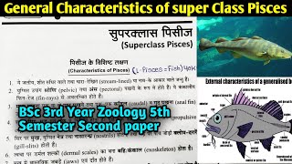 General Characteristics of Superclass Pisces in Hindi  BSc 3rd year Zoology 5th semester 2nd paper [upl. by Silloh446]