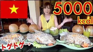 【MUKBANG】 IN Vietnam 26 Elephant Fish Spring Rolls amp 5 Unique Rice balls About 5000kcalUse CC [upl. by Anaehr357]